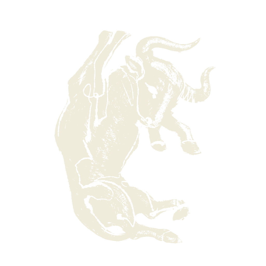 HUGO TORO ARTIST